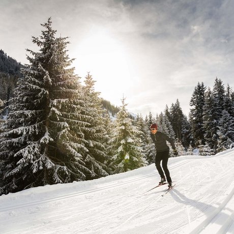 Ihre Unterkunft in St. Christoph am Arlberg: Bilder Skifahrer auf verschneiter Loipe im sonnigen Winterwald